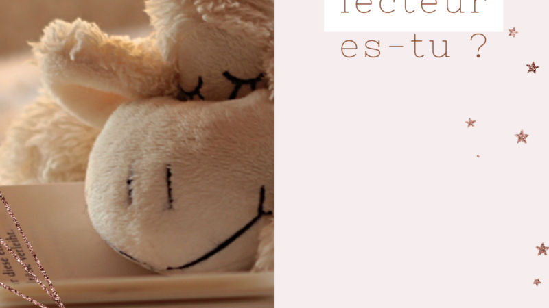 Quel lecteur es-tu ?