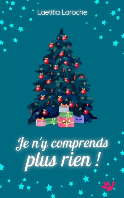 Je n&rsquo;y comprends plus rien !